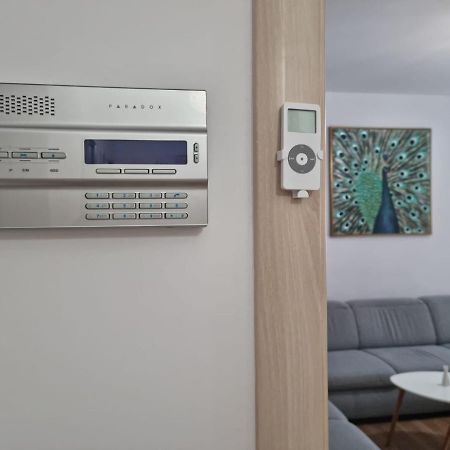 Sasu Apartment Timişoara Buitenkant foto