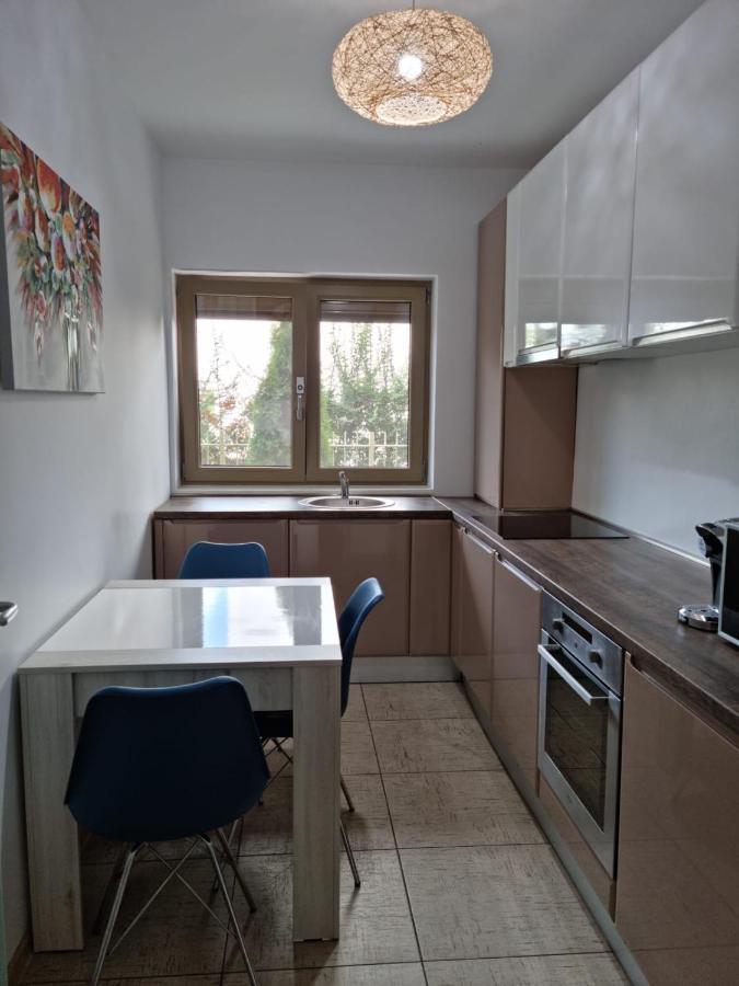 Sasu Apartment Timişoara Buitenkant foto