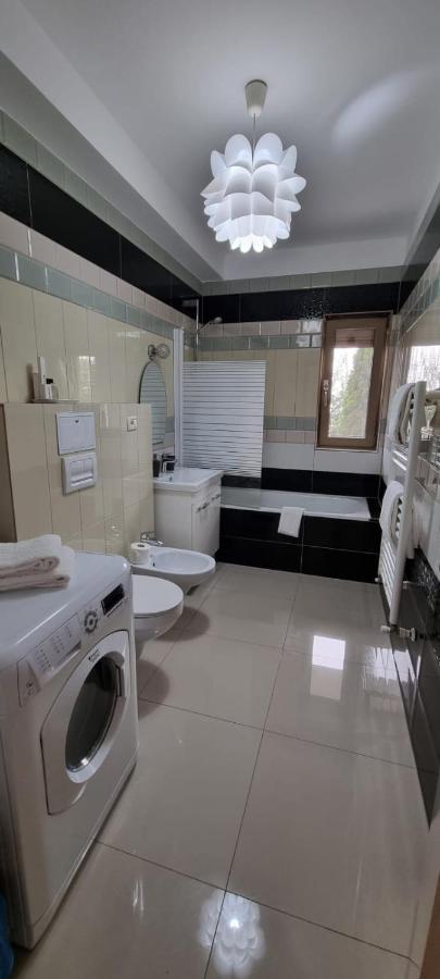 Sasu Apartment Timişoara Buitenkant foto