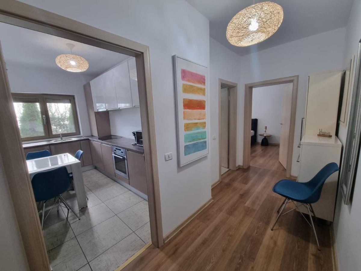 Sasu Apartment Timişoara Buitenkant foto