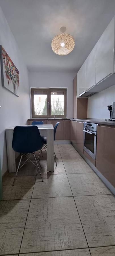 Sasu Apartment Timişoara Buitenkant foto