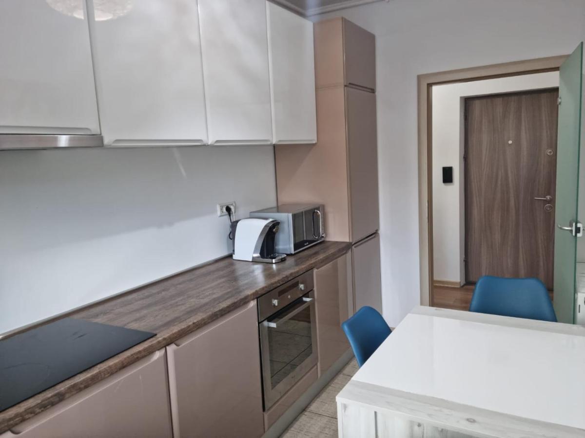Sasu Apartment Timişoara Buitenkant foto