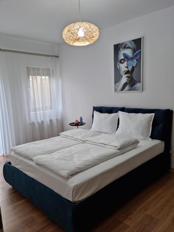 Sasu Apartment Timişoara Buitenkant foto