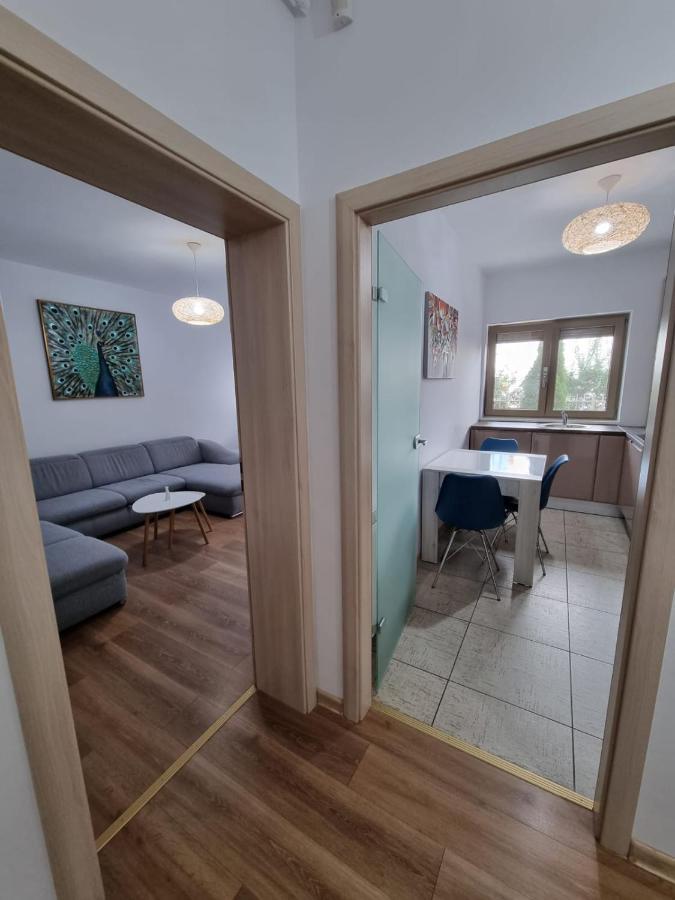 Sasu Apartment Timişoara Buitenkant foto