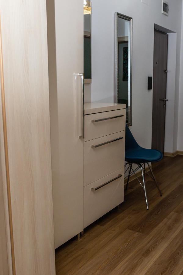 Sasu Apartment Timişoara Buitenkant foto
