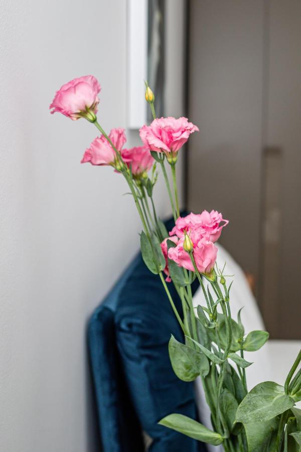 Sasu Apartment Timişoara Buitenkant foto