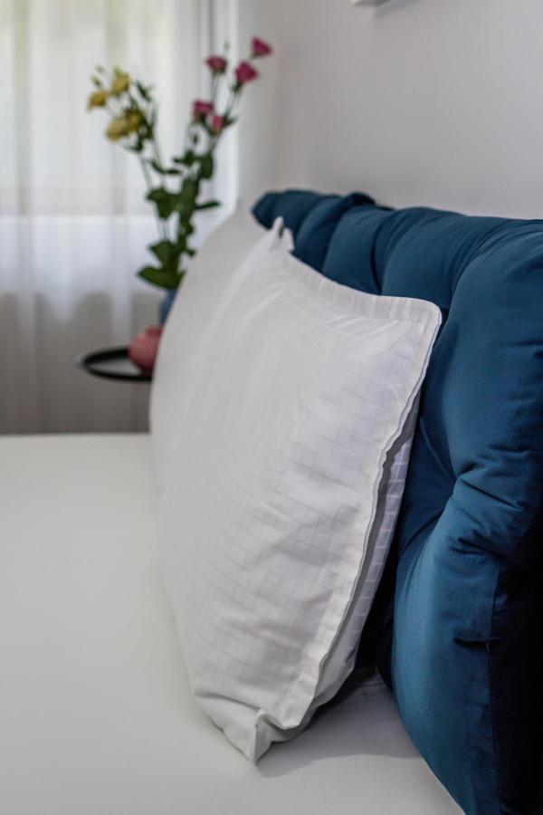 Sasu Apartment Timişoara Buitenkant foto